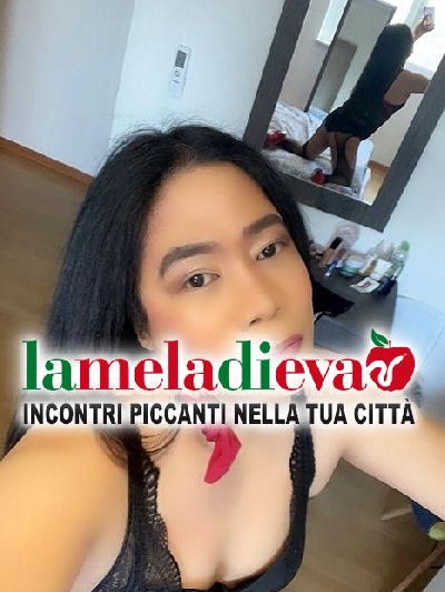 💞GALLARATE💞TRANS ASIATICA💞APP. ...