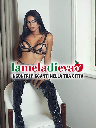 NOVITÀ IN RIVAZZURRA💟TRANS NIKKY BEL...