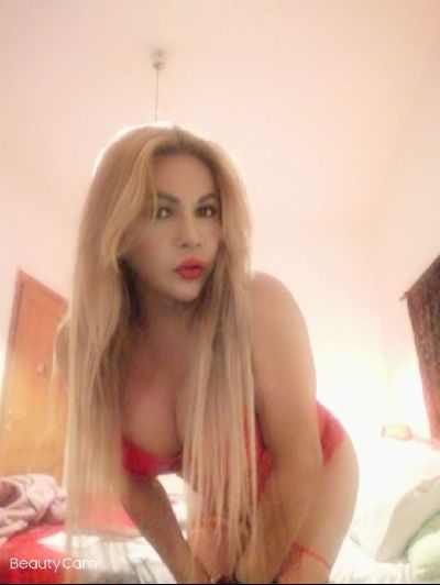 CAVALLONA TRANSEX 