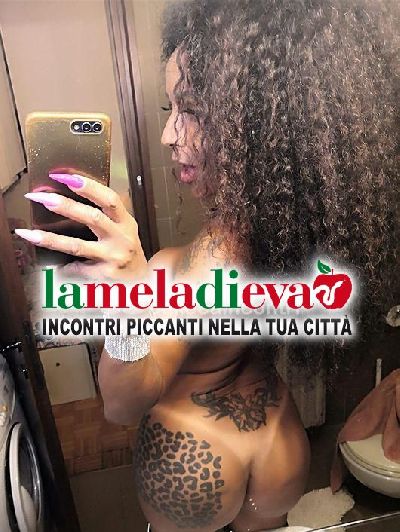 TAMISCA TRANS 🟡🟡 ATT E PASS 🟡...