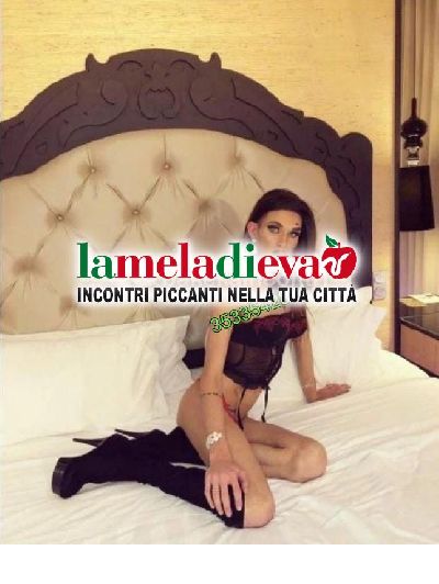 CUNEO ANACONDA TRANS LIBERA CON 23 MOTTI...