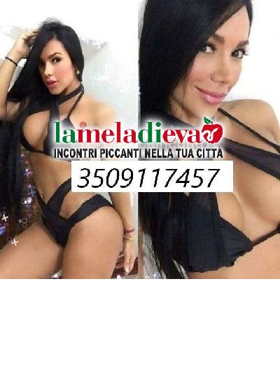 ATTENZIONE � TRANS ATTENZIONE CHANELY ...