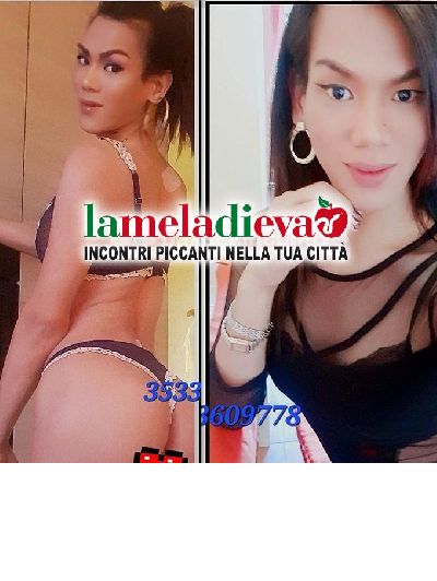 "❣️❣️❣️ NOVITA TRANS CA...