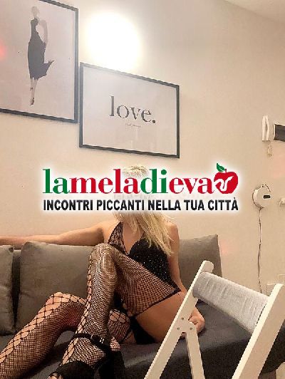 ⭐️ PORCABIONDA ⭐️ TRANS ITALIANA...