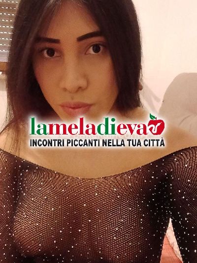 TRANS BELLA PORCELLA FEMMINA DOLCE VOGLI...