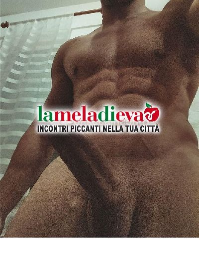 ITALIANO VERSATILE 20 CM O VENUTA DOVE V...